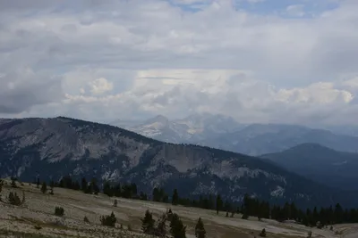 DSC_3092 (Large).JPG